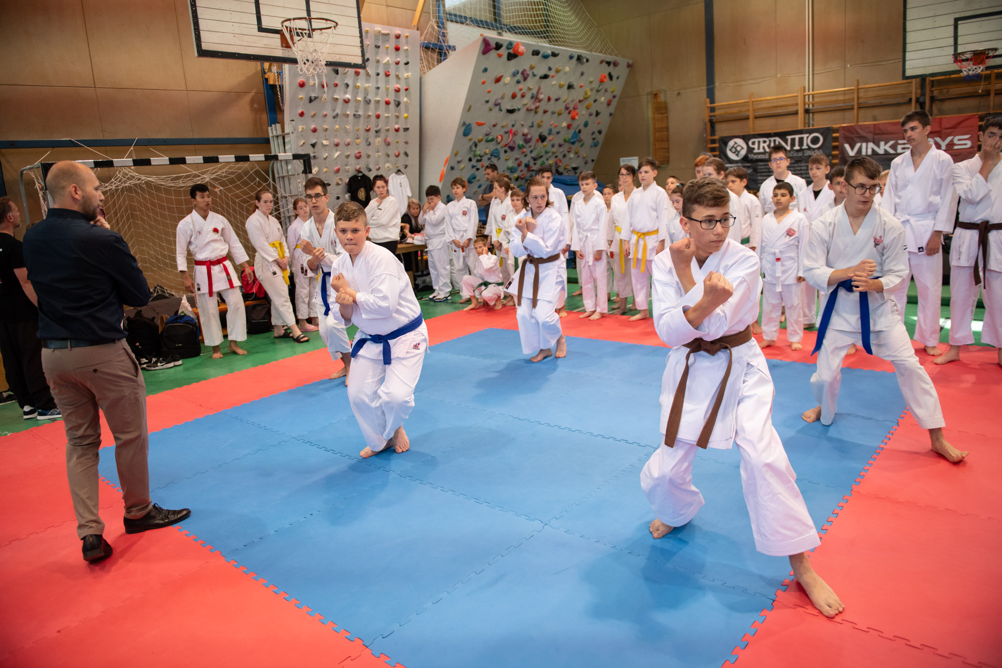 Tisztesség, fegyelem, becsület – elrajtolt a II. Senshi Kupa